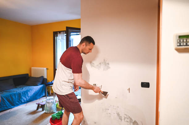 Best Mold Removal Near Me  in Navy, VA